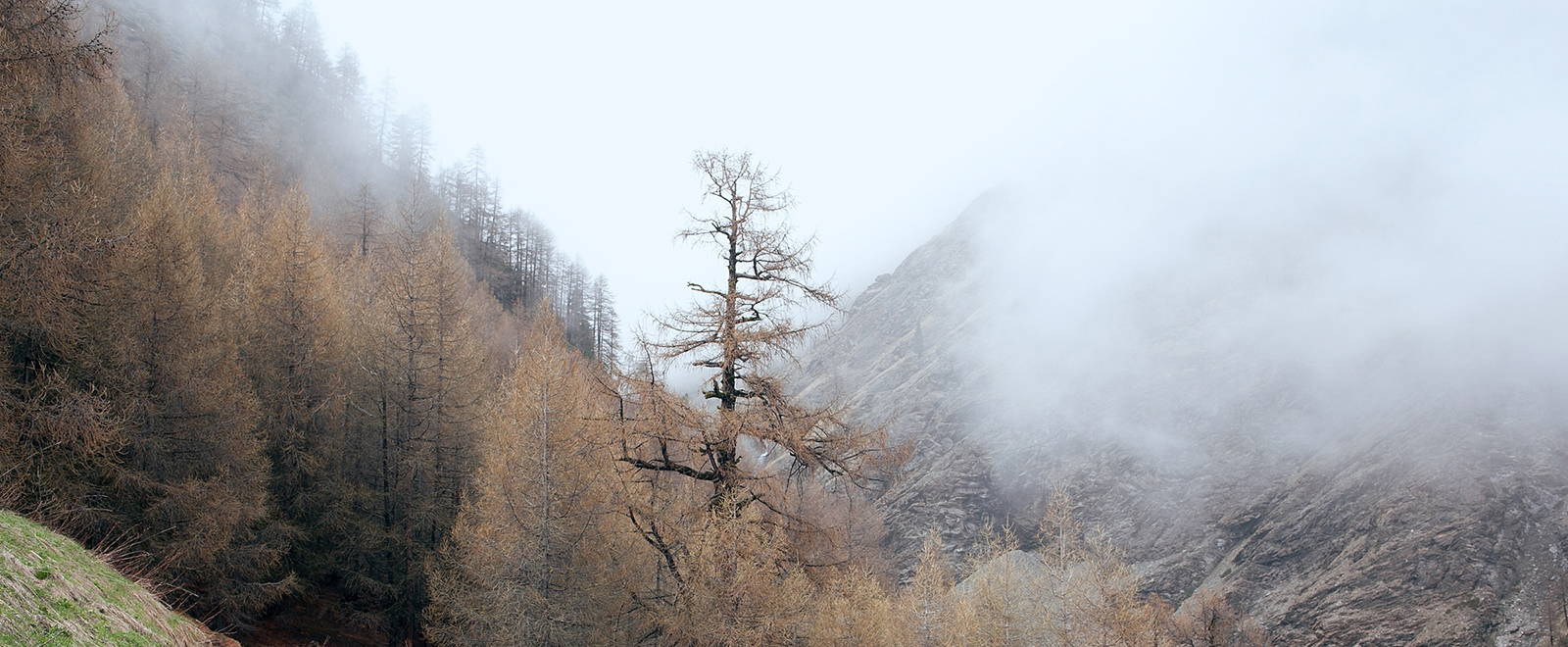 在线短信轰炸机