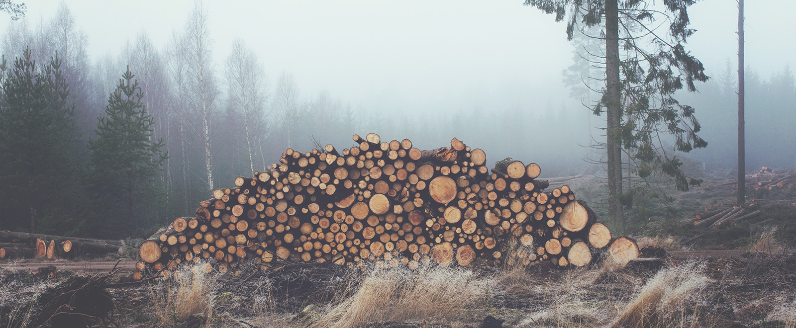 轰炸手机号在线使用